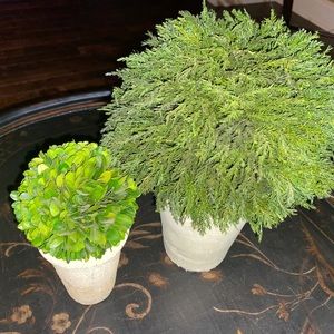 Two Faux Topiary Plants